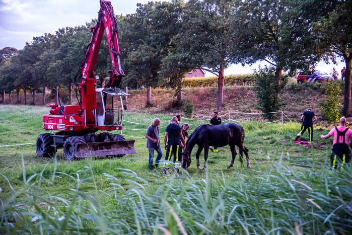 Brandweer uren bezig met paard in sloot