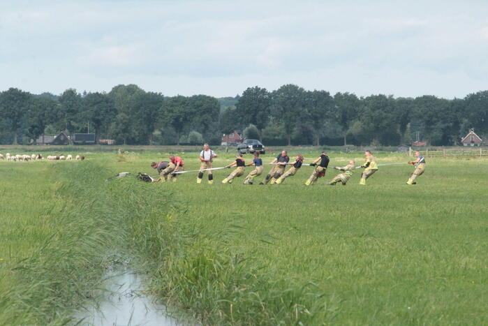 Brandweer ingezet voor koe in een sloot