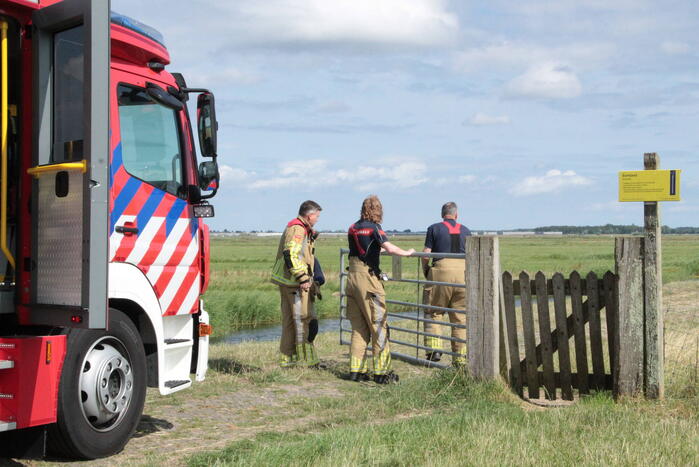 Brandweer ingezet voor koe in een sloot