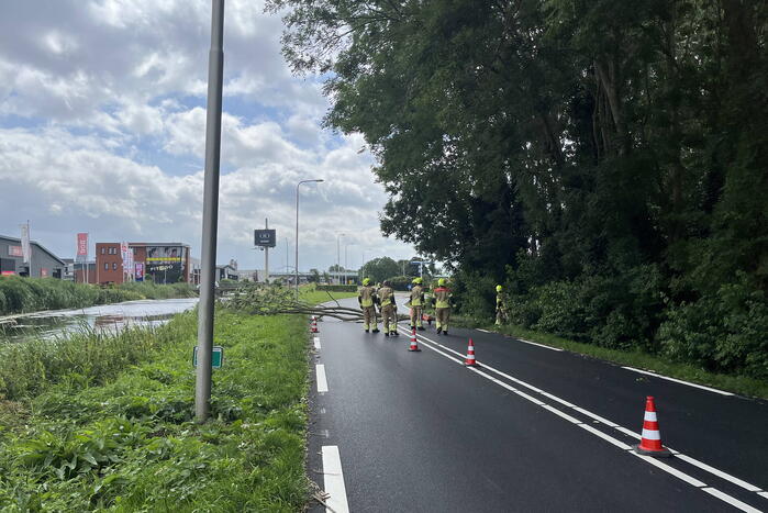 Grote tak dreigt op weg te vallen