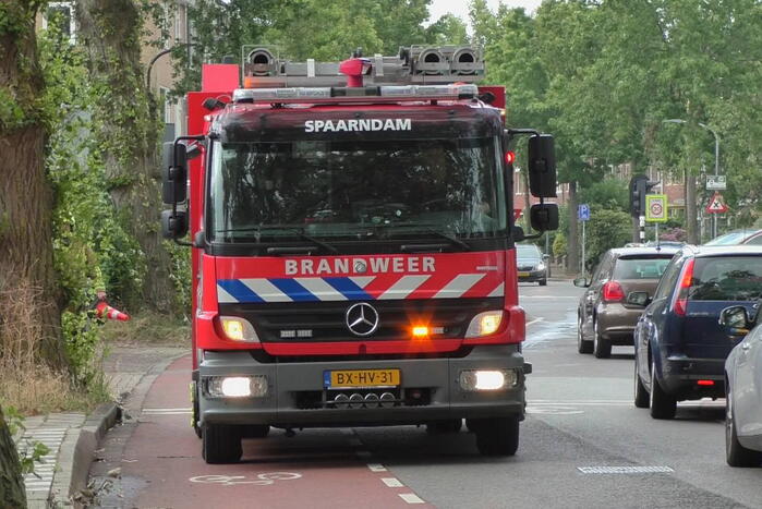 Boom weggezaagd na omvallen