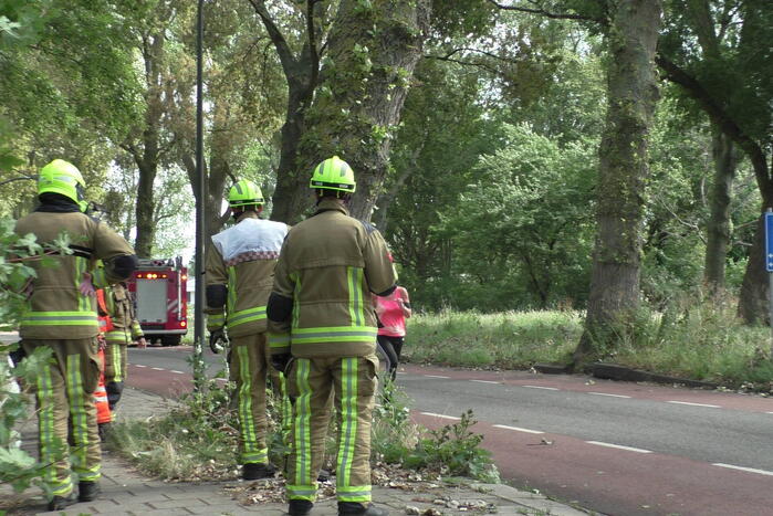Boom weggezaagd na omvallen
