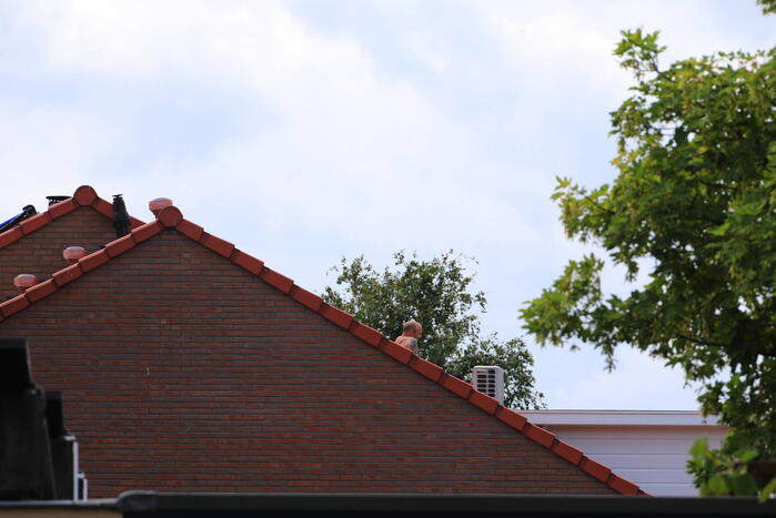 Veel bekijks bij man met verward gedrag op dak
