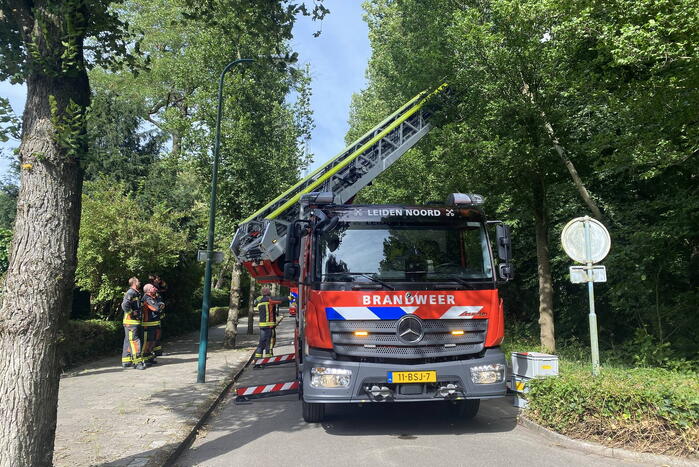 Boom dreigt op auto te vallen