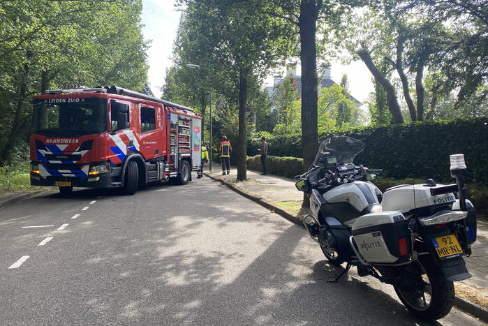 Boom dreigt op auto te vallen