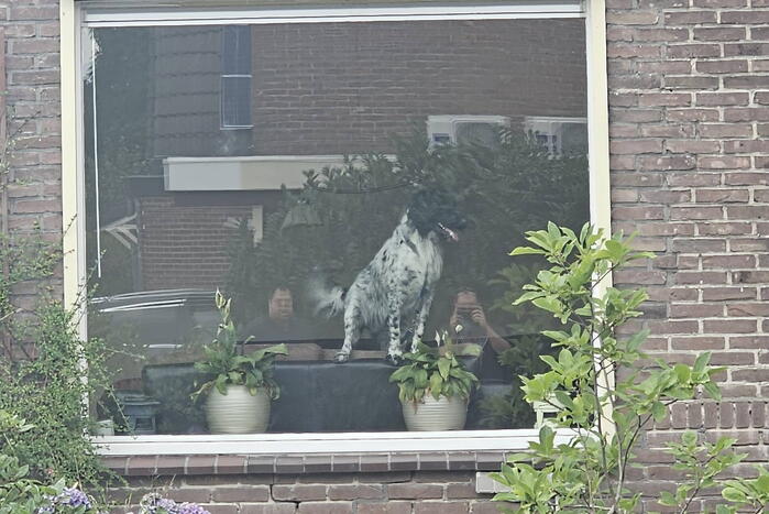 Losgeschoten slang zorgt voor wateroverlast in woning