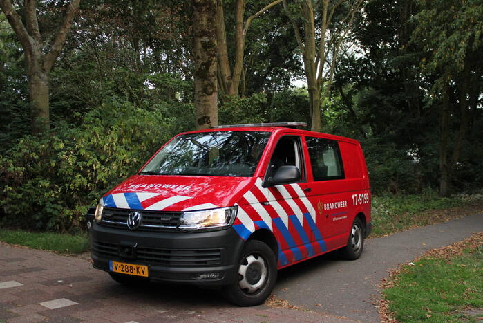 Vat aangetroffen in bosjes