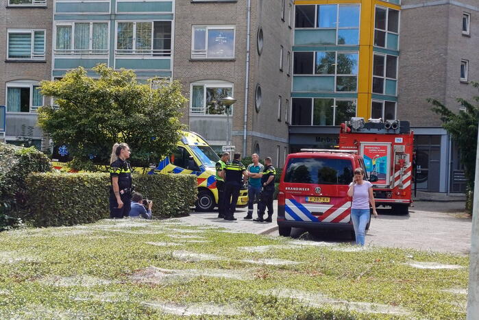 Chemische geur in kelderbox