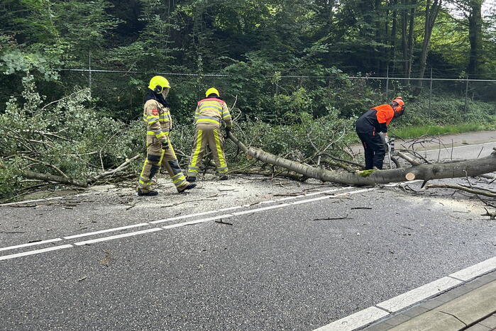 Omgevallen boom blokkeert de weg