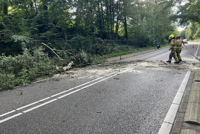 Omgevallen boom blokkeert de weg