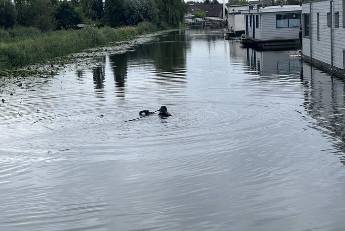 Duikers zoeken naar mogelijk persoon te water