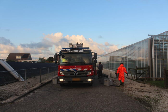 Overleden schaap aangetroffen in sloot