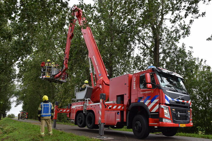 Brandweer ingezet voor afgebroken boom