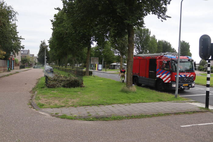 Brandweer ontdekt brand in blad- en snoeikorf