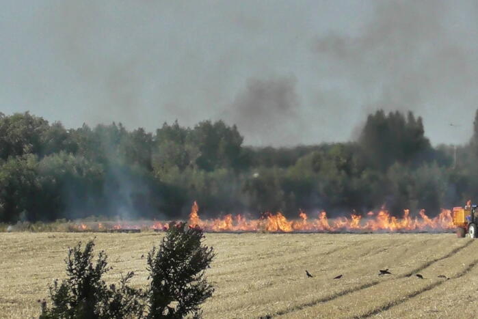 Grote brand op weiland
