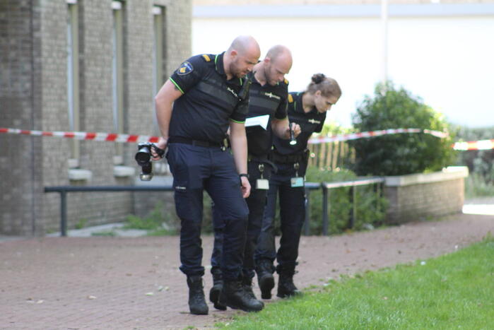 Grote politieinzet in woonwijk