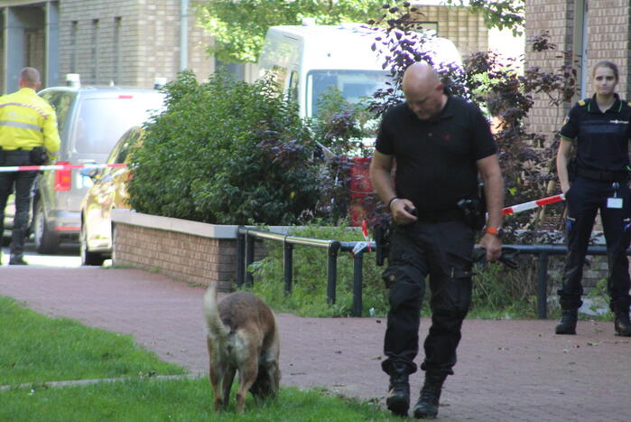 Grote politieinzet in woonwijk