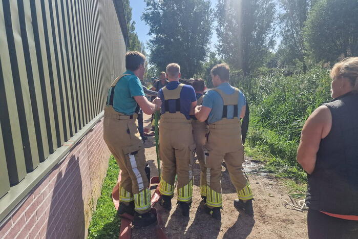 Brandweer redt paard uit sloot
