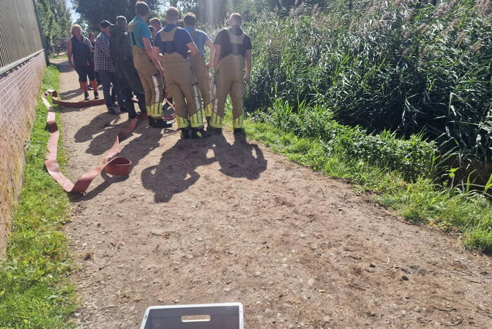 Brandweer redt paard uit sloot