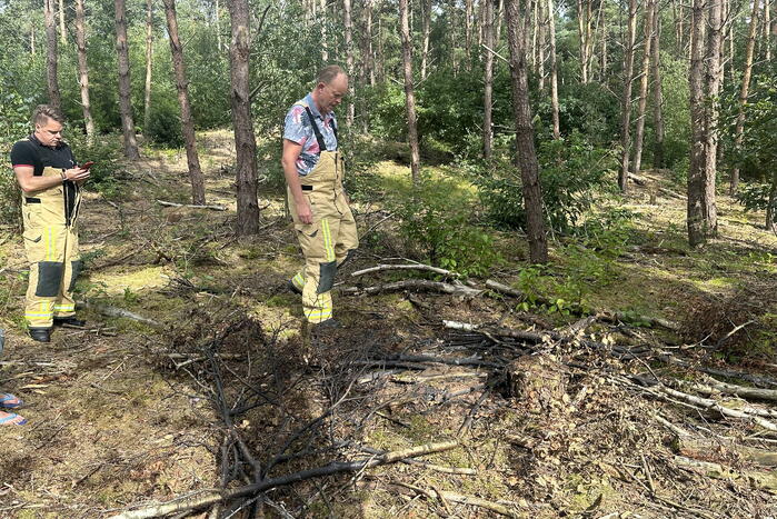 Brand in bosgebied snel onder controle