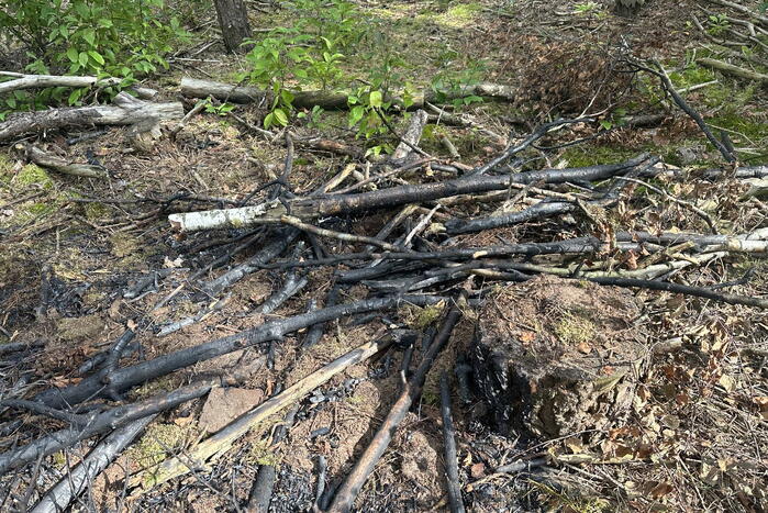 Brand in bosgebied snel onder controle