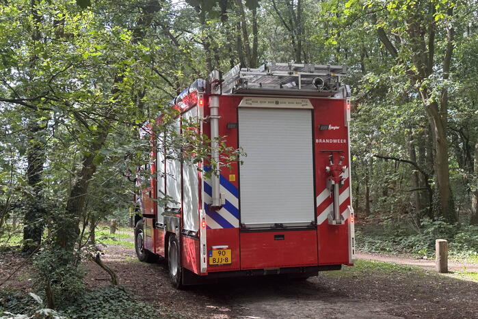 Brand in bosgebied snel onder controle