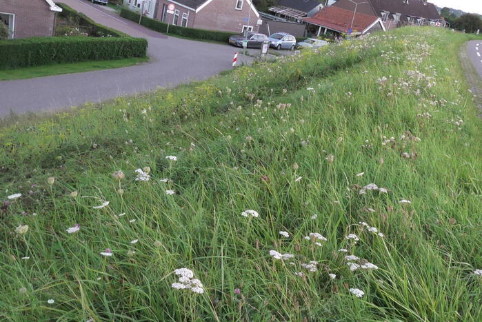 Motorrijder komt ten val
