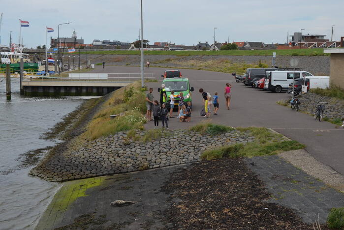 Zieke zeehond gered door dierenambulance