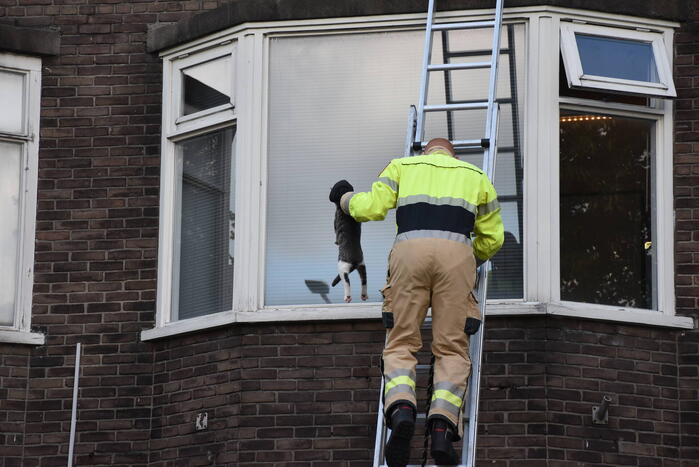 Dirk Huizingastraat Groningen 112 