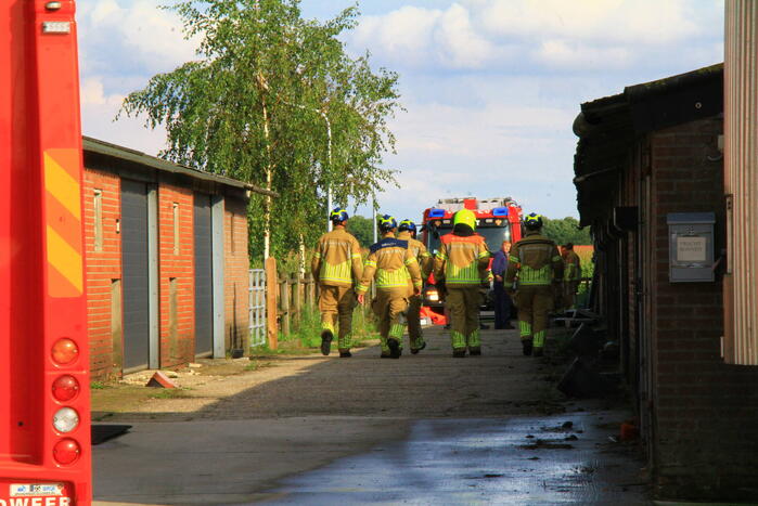 Brandweer ingezet voor dier in de problemen in koeienstal