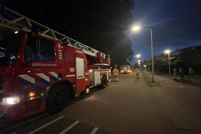 Brandweer ingezet voor loshangende takken