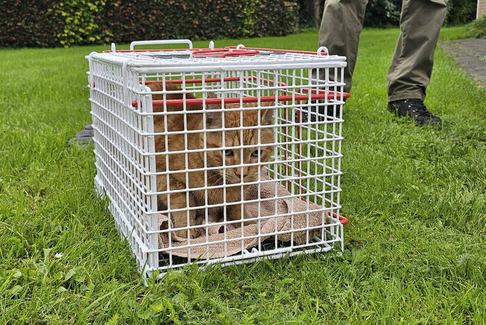 Woning in flat brandt volledig uit