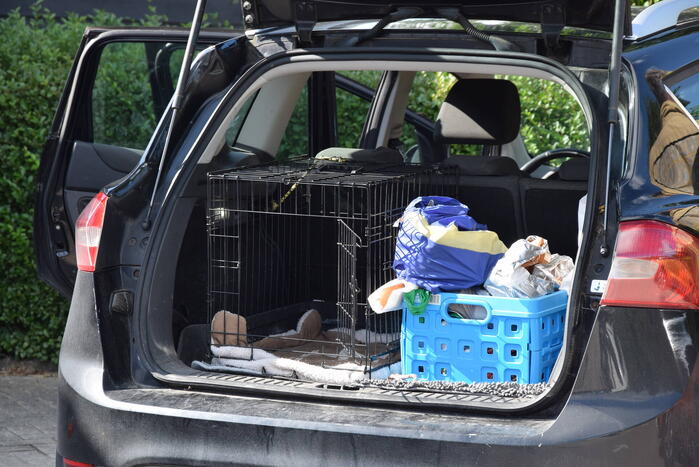 Hond per ongeluk opgesloten in warme auto, brandweer slaat raam in