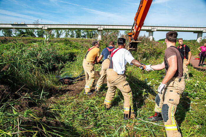 Brandweer ingezet voor paard in diepe sloot