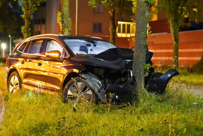 Automobilist klapt op boom