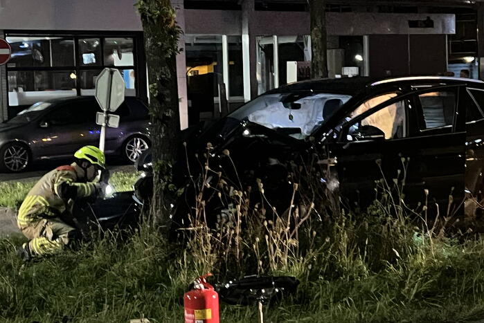 Automobilist klapt op boom