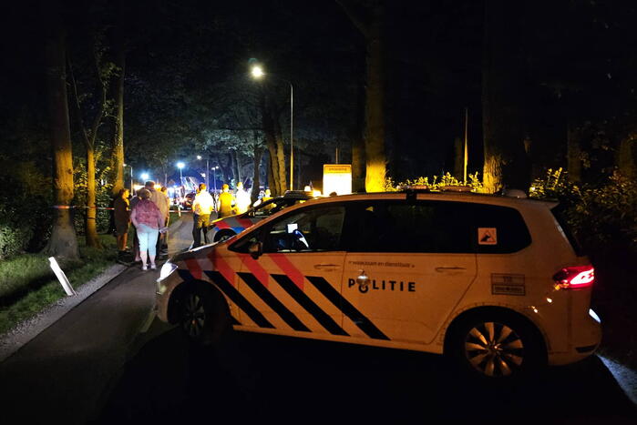 Twee doden nadat bestelbus frontaal op boom botst
