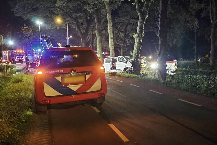 Twee doden nadat bestelbus frontaal op boom botst