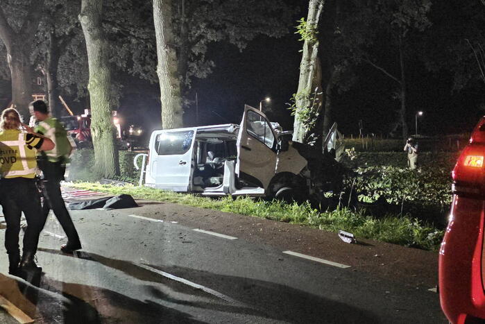 Twee doden nadat bestelbus frontaal op boom botst