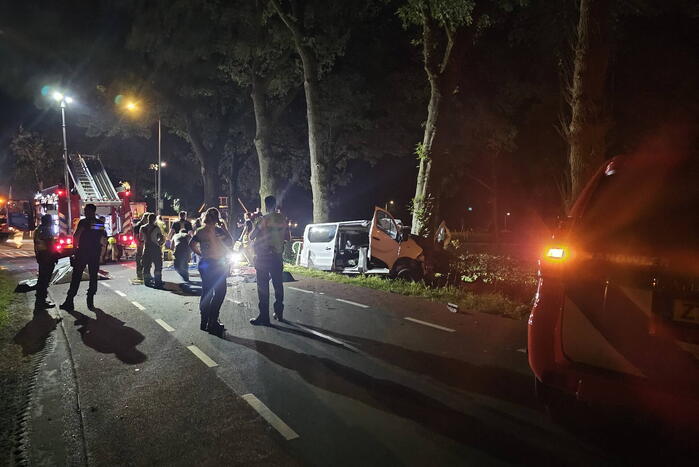 Twee doden nadat bestelbus frontaal op boom botst
