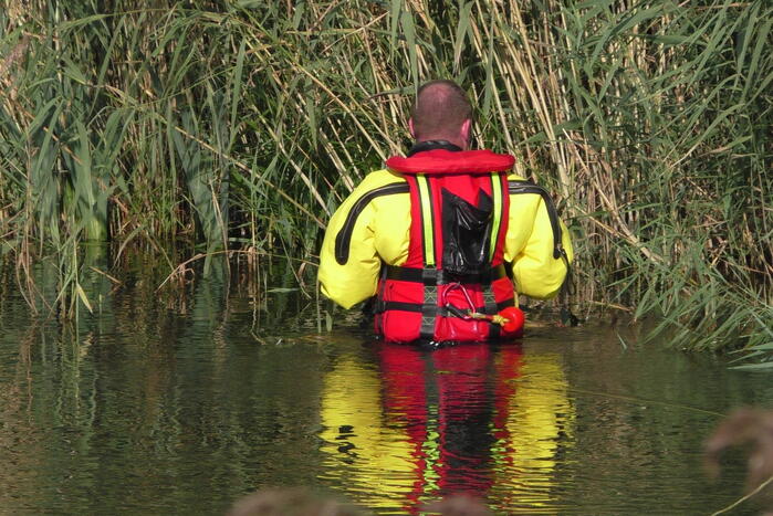 Grote zoekactie naar te water geraakte hond