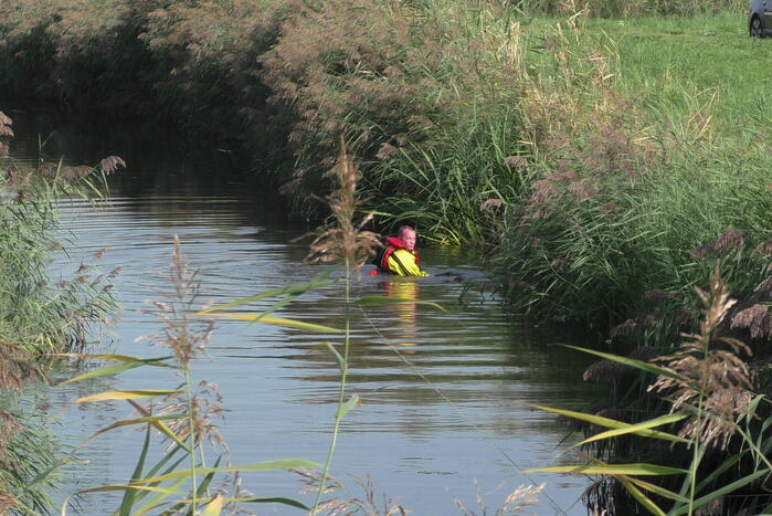 Grote zoekactie naar te water geraakte hond