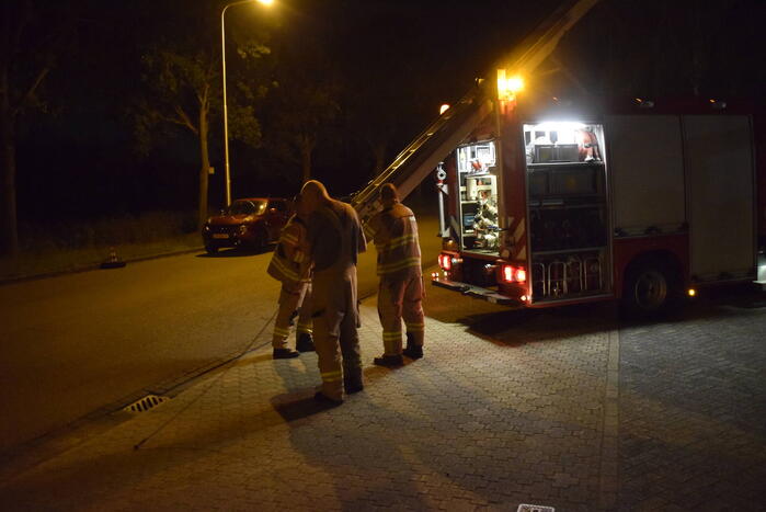 Steenuil vast in schoorsteen