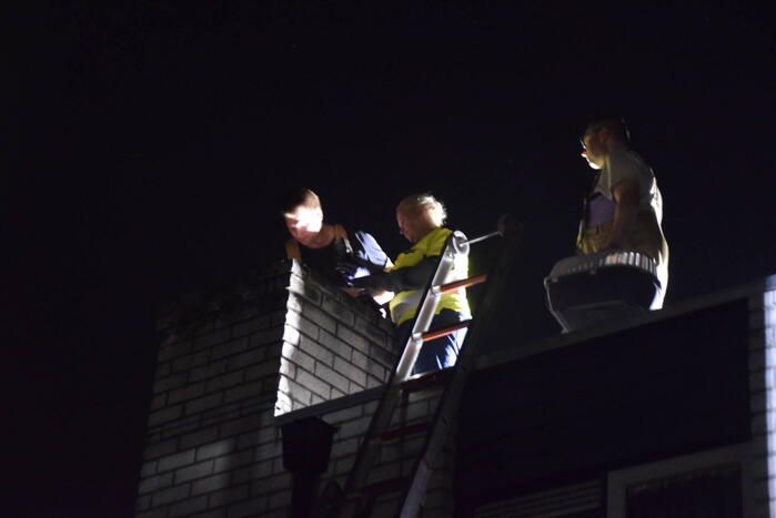 Steenuil vast in schoorsteen