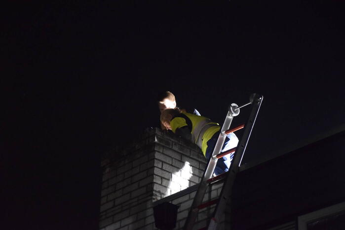 Steenuil vast in schoorsteen