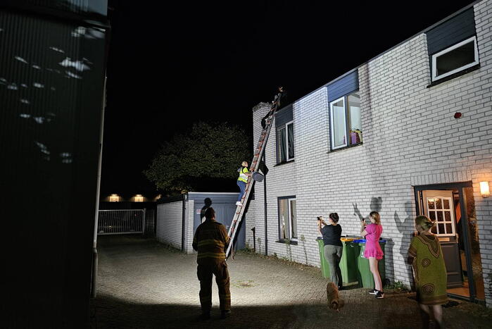 Steenuil vast in schoorsteen