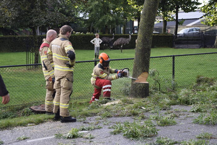 Brandweer voorkomt vallende boom