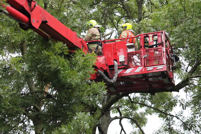 Brandweer zaagt boom met hoogwerker in stukken