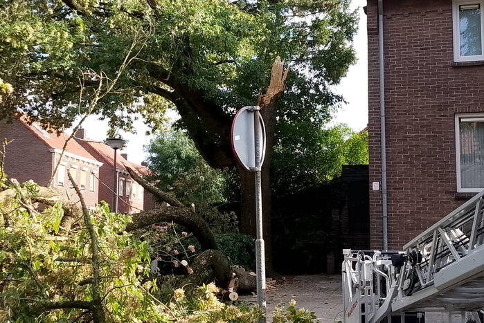 Grote tak van boom afgebroken door harde wind