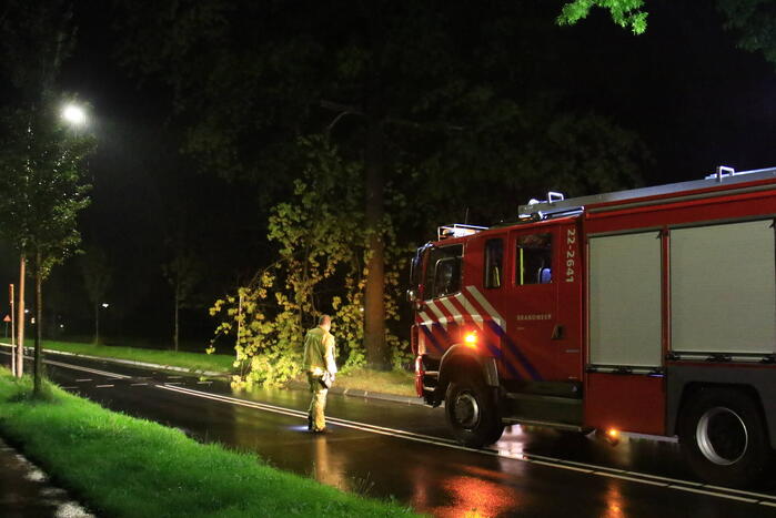 Brandweer verwijdert grote tak